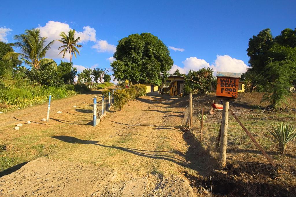 Отель The Beehive Fiji Ракираки Экстерьер фото