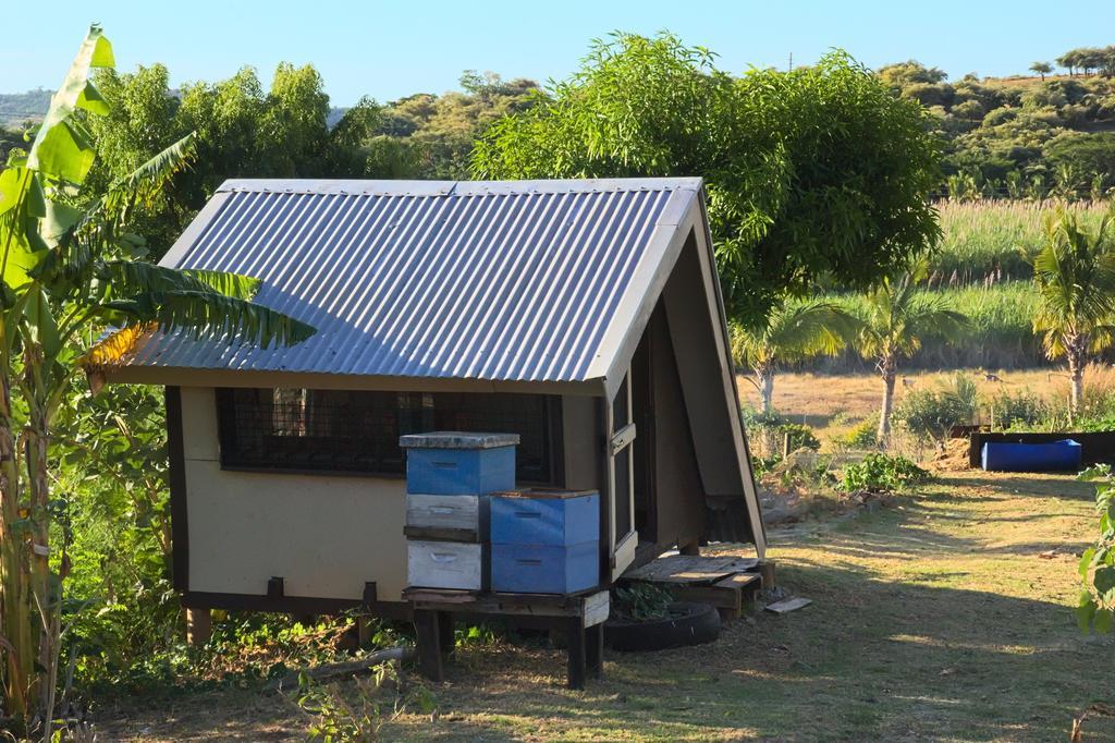 Отель The Beehive Fiji Ракираки Экстерьер фото