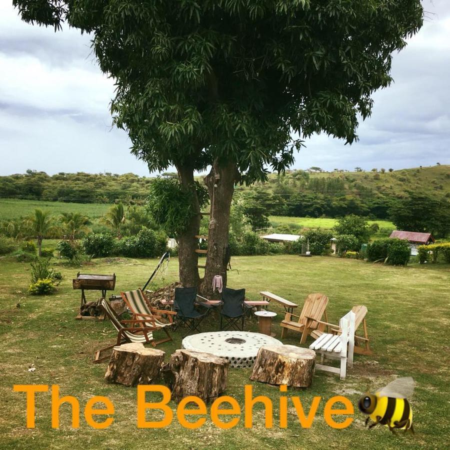 Отель The Beehive Fiji Ракираки Экстерьер фото