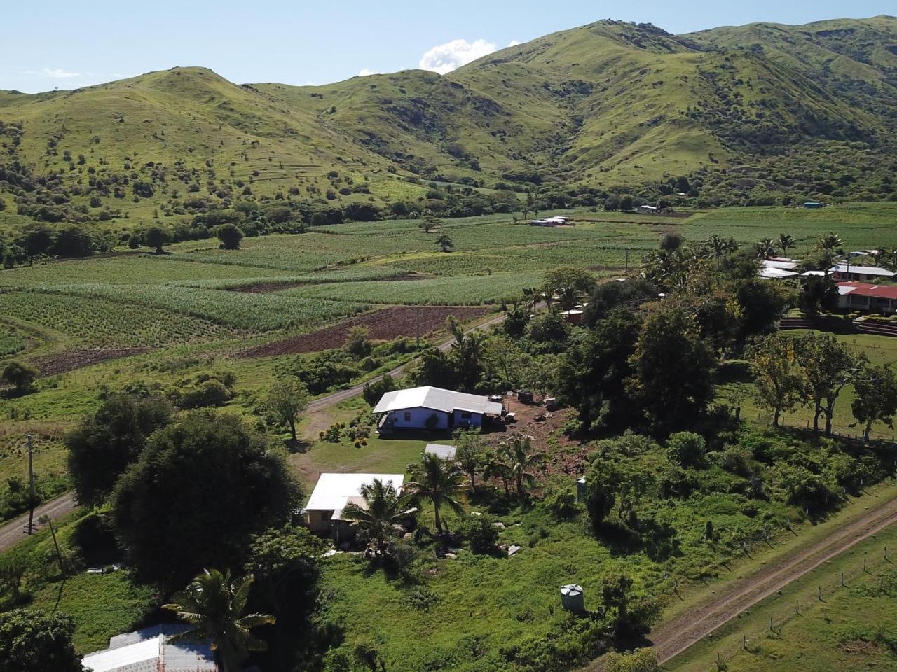 Отель The Beehive Fiji Ракираки Экстерьер фото